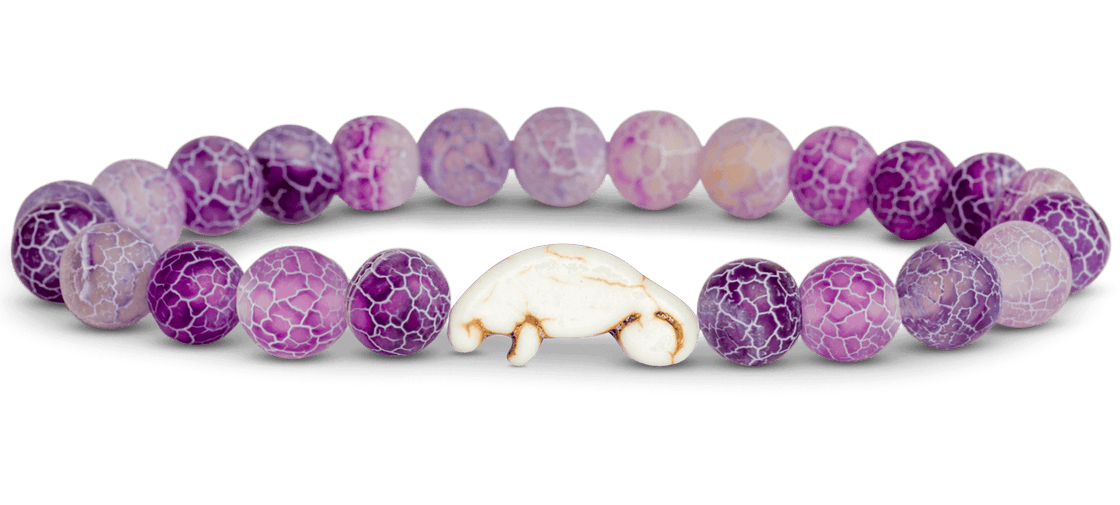 Manatee Coral Reef Violet
