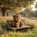 Baby Ranger 6-inch Cocoa Brown Plush Bear Soft Cuddly Stuffed Animal