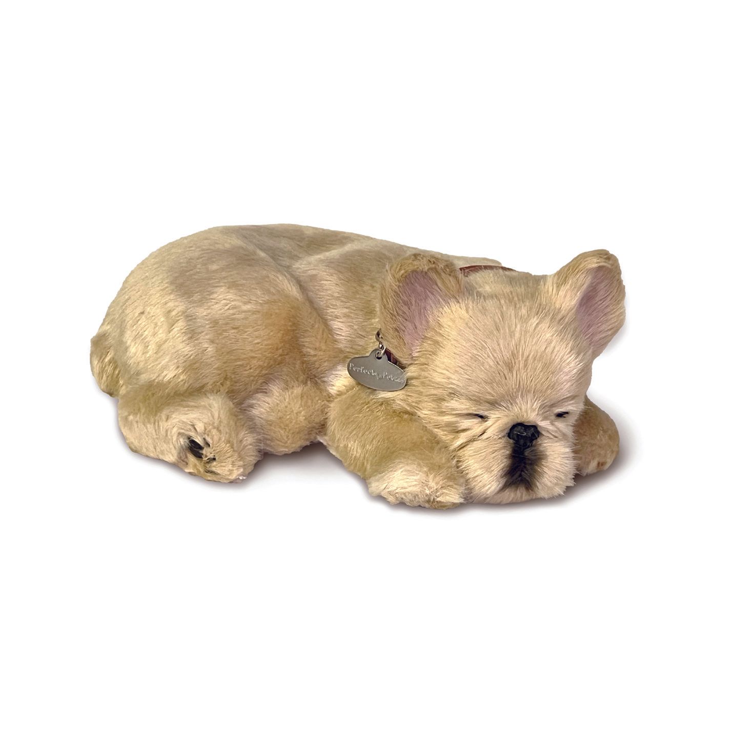 French Bulldog Petzzz