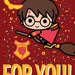 https://cdn.shopify.com/s/files/1/0049/3436/9347/products/GE-7018-Harry-Potter-c.jpg?v=1636113983