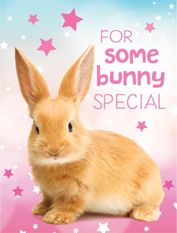 https://cdn.shopify.com/s/files/1/0049/3436/9347/products/GE-7037-Bunny-c.jpg?v=1636119726