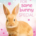 https://cdn.shopify.com/s/files/1/0049/3436/9347/products/GE-7037-Bunny-c.jpg?v=1636119726