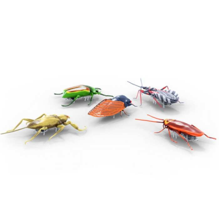 HEXBUG Real Bugs Nanos 5 Pack