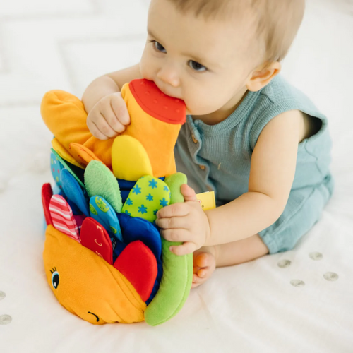 Flip Fish Baby Toy