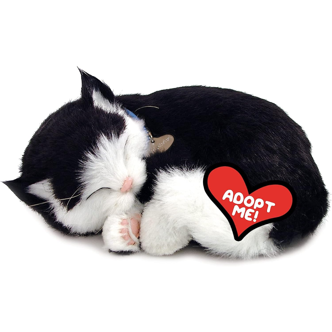 Black and White Kitten Perfect Petzzz — Learning Express Gifts