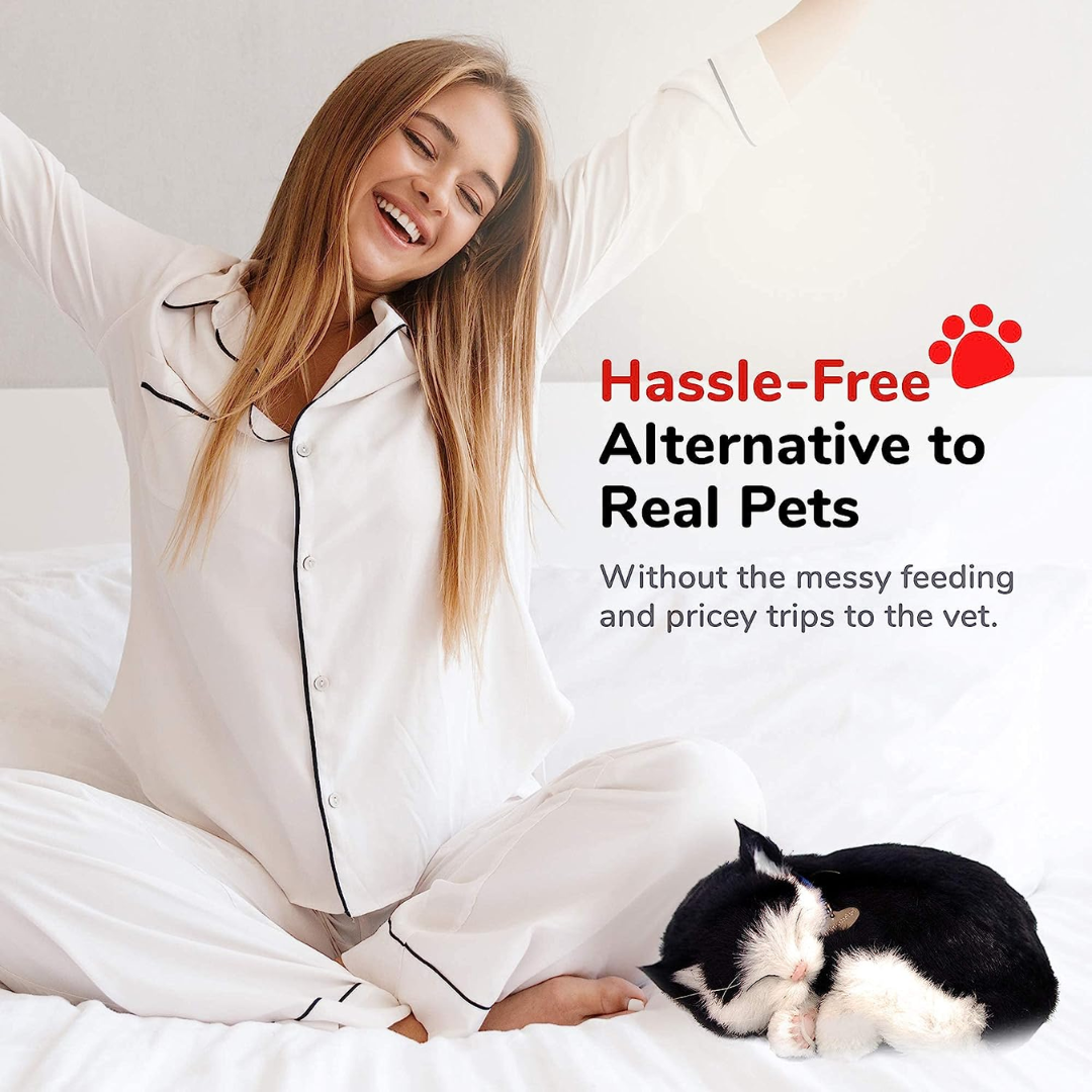 Black and White Kitten Perfect Petzzz