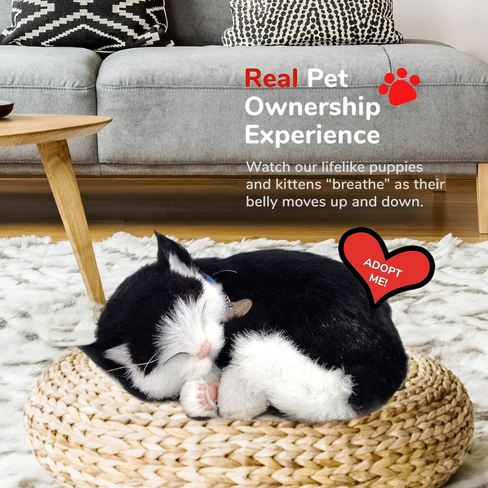 Black and White Kitten Perfect Petzzz — Learning Express Gifts