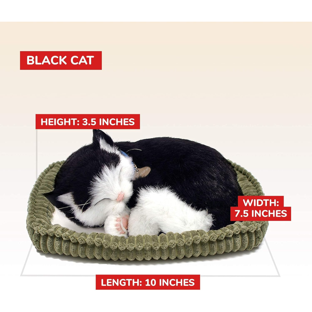 Black and White Kitten Perfect Petzzz