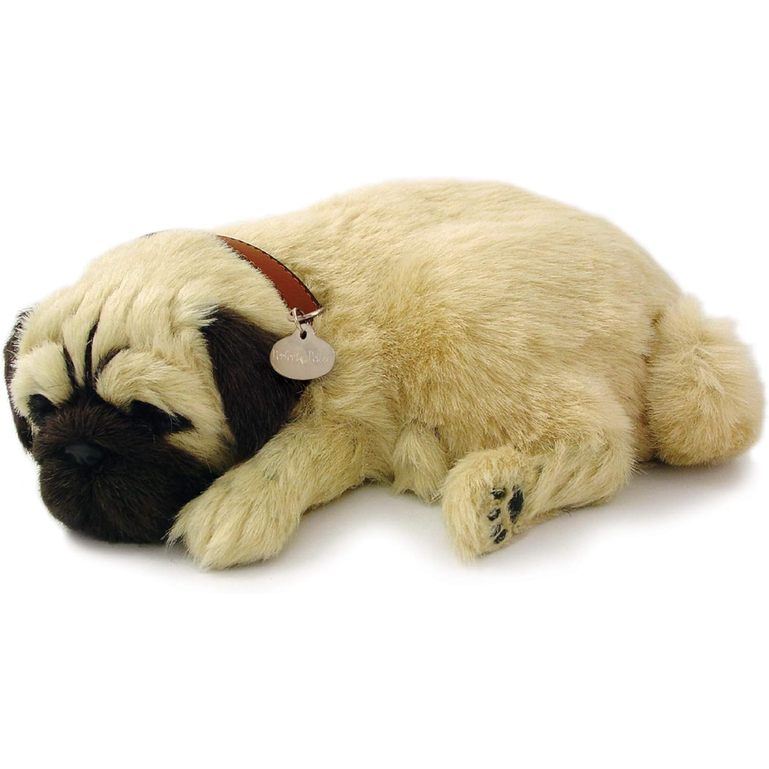 Pug Puppy Perfect Petzzz — Learning Express Gifts