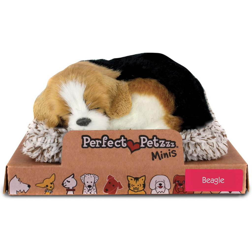 GREYCIRCLE-2023-12-17T212910.