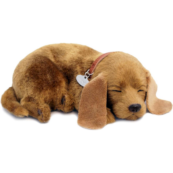 Accessoire poupée GENERIQUE Perfect Petzzz Labrador Chocolat Accessoire poupée GENERIQUE Perfect Petzzz Labrador Chocolat