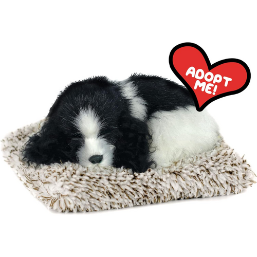 Minis Cocker Spaniel Puppy Perfect Petzzz