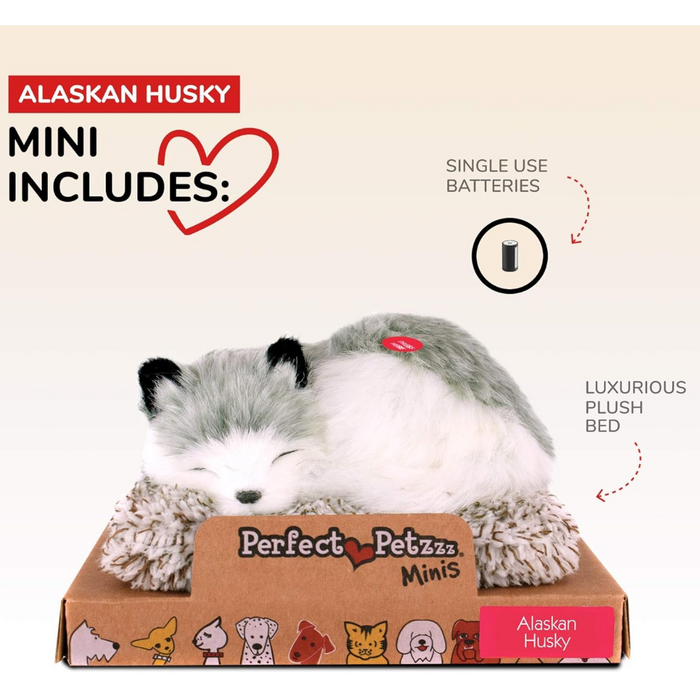Minis Alaskan Husky Puppy Perfect Petzzz