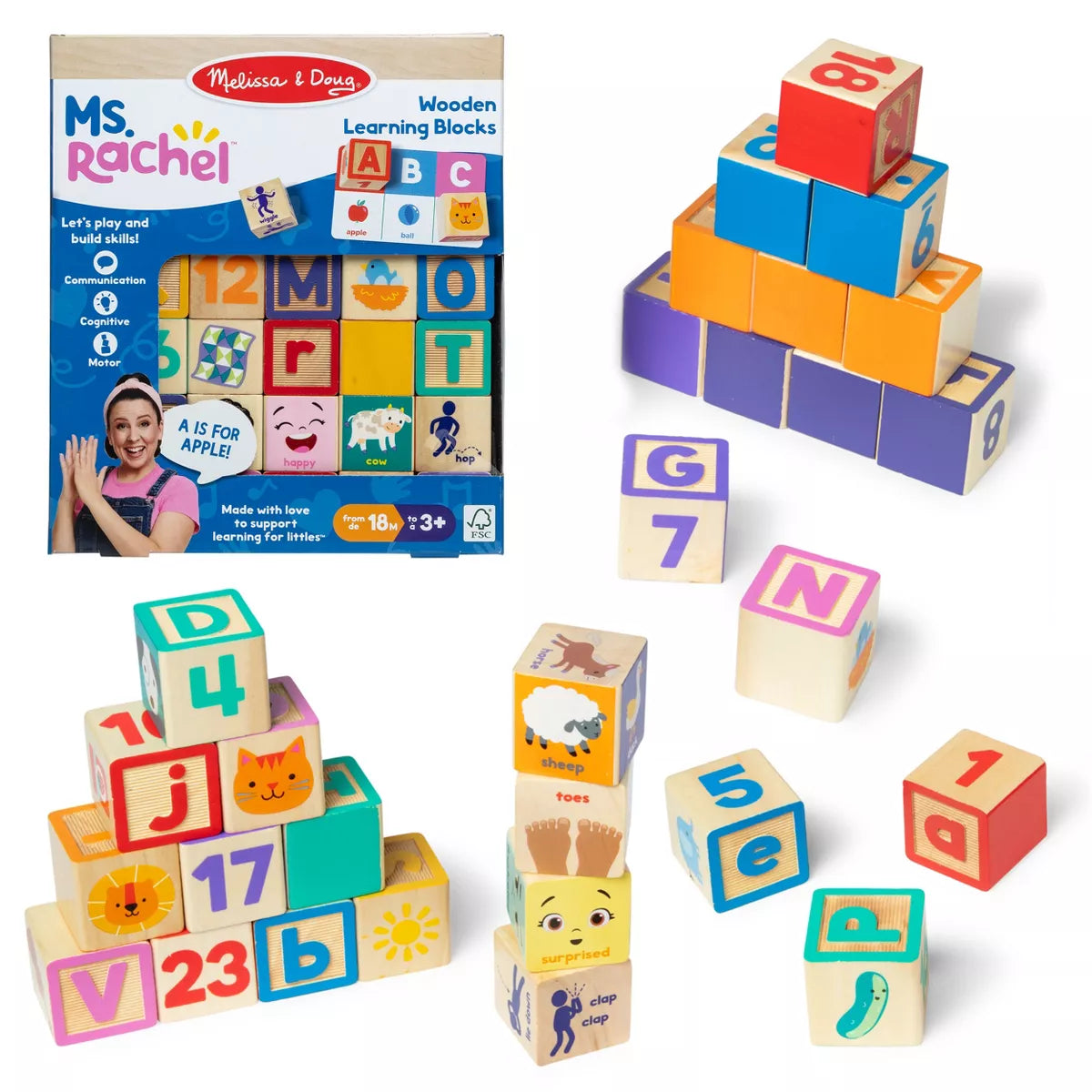 Ms. Rachel Activity Blocks and Cards