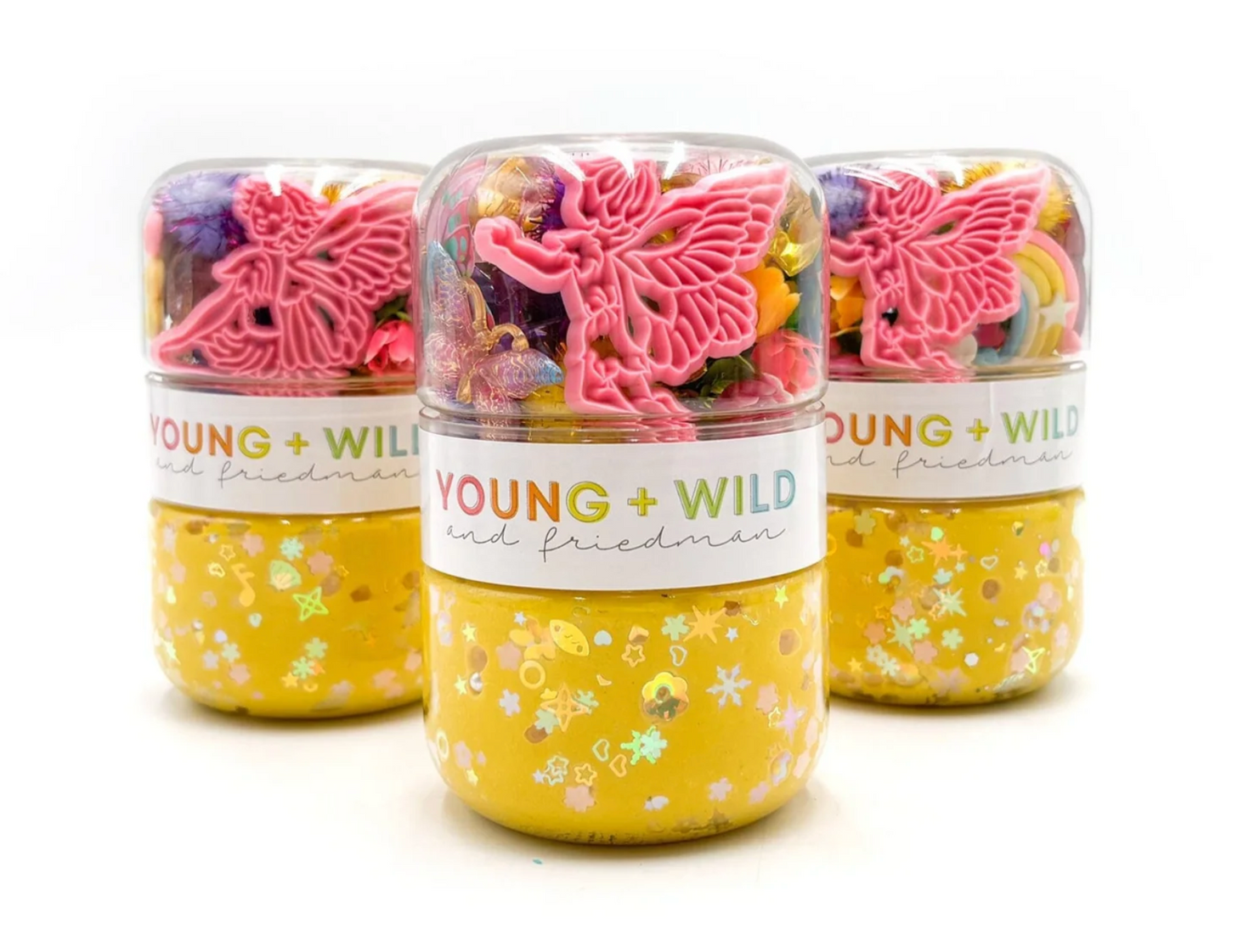 Young Wild and Friedman Grab and Go Dough Magical Fairy