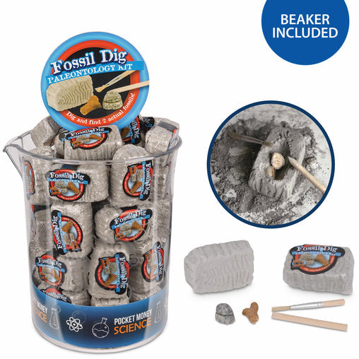 Fossil Dig Paleo Kit in Beaker