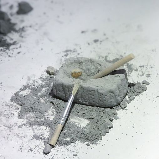 Fossil Dig Paleo Kit in Beaker