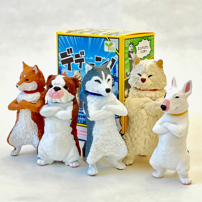 Cool Dogs Blind Box (1 Box)