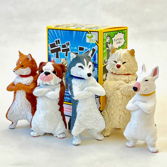 Cool Dogs Blind Box (1 Box)