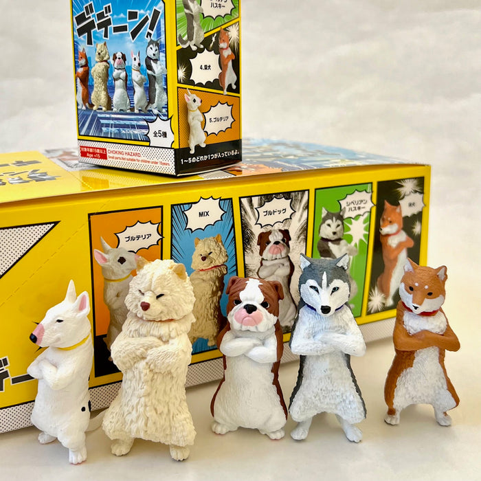 Cool Dogs Blind Box (1 Box)