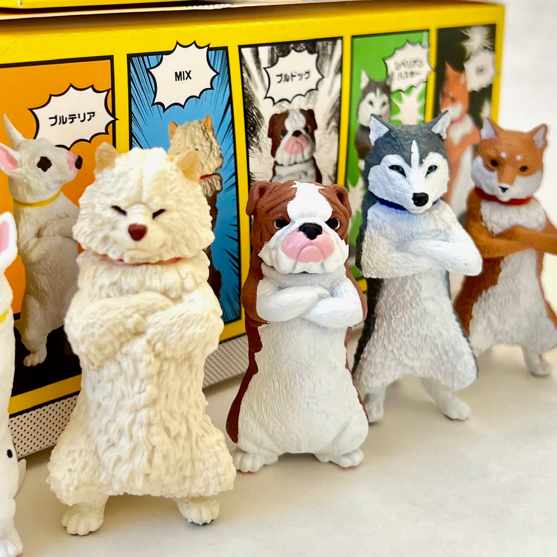 Cool Dogs Blind Box (1 Box)