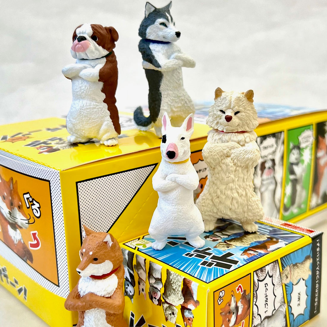 Cool Dogs Blind Box (1 Box)