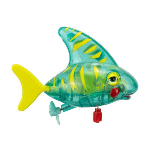 Seymour, The Swimming Tiger Shark