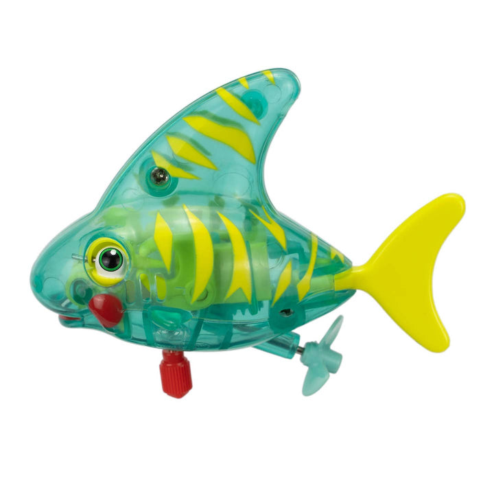 Seymour, The Swimming Tiger Shark