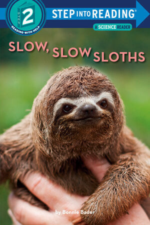 Slow Slow Sloths Step into Reading