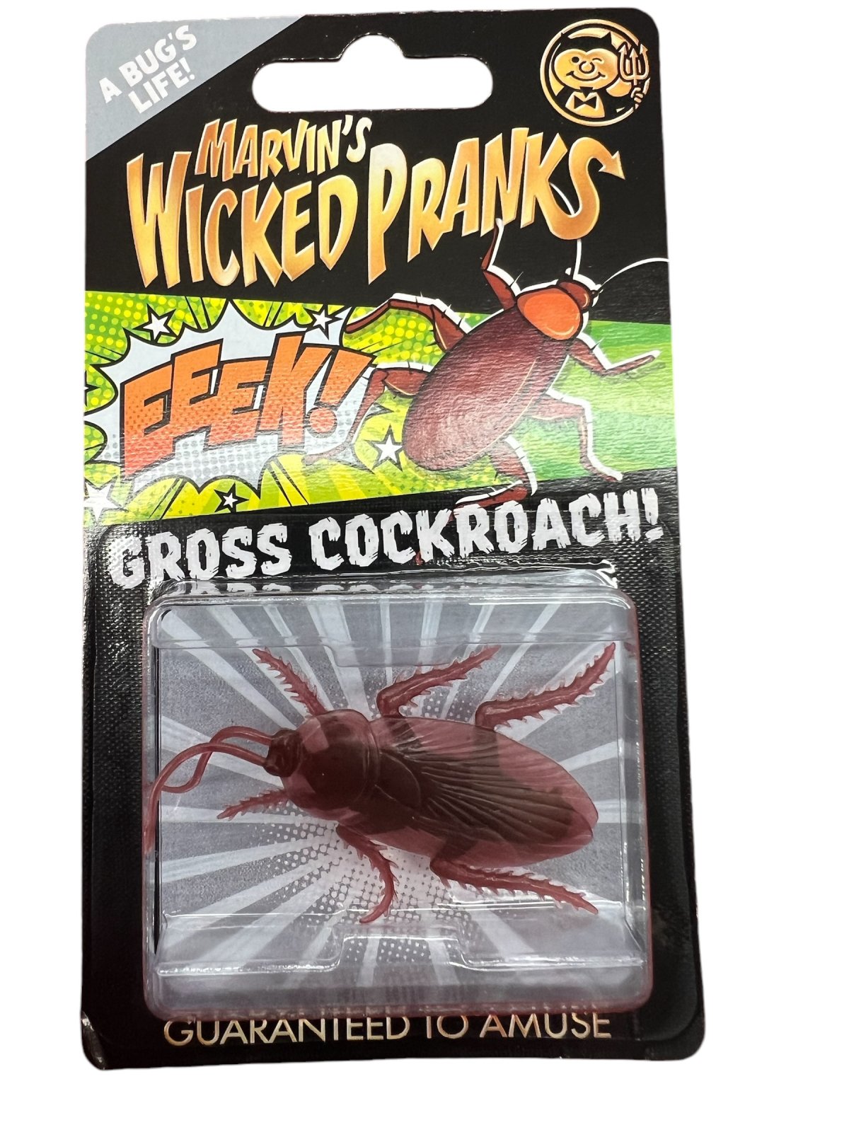 https://media.rainpos.com/7060/IMG_3074.jpeg