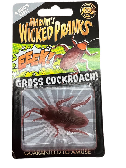 https://media.rainpos.com/7060/IMG_3074.jpeg