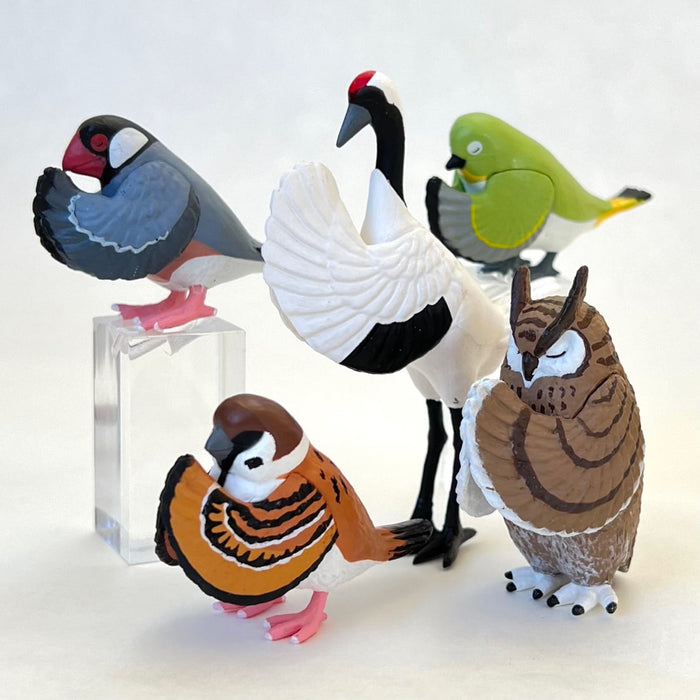 Wishing Birds Blind Box (1 Box)