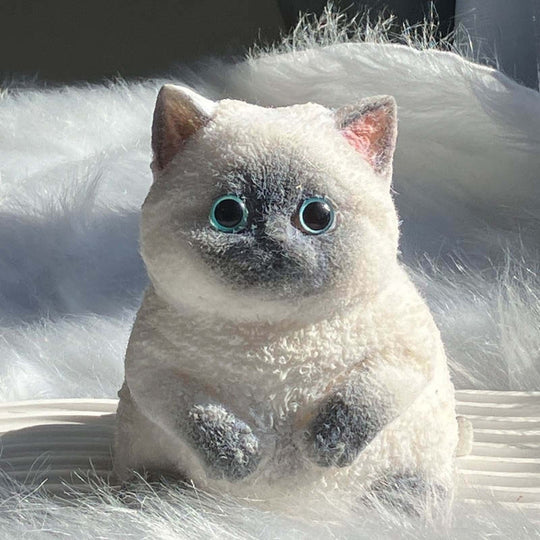 Squishy Kitty Medium