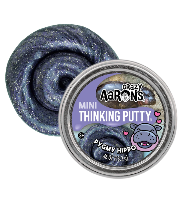 Crazy Aarons Trend Mini Tin Putty Assortment 2 in