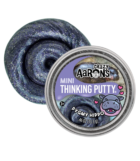 Crazy Aarons Trend Mini Tin Putty Assortment 2 in