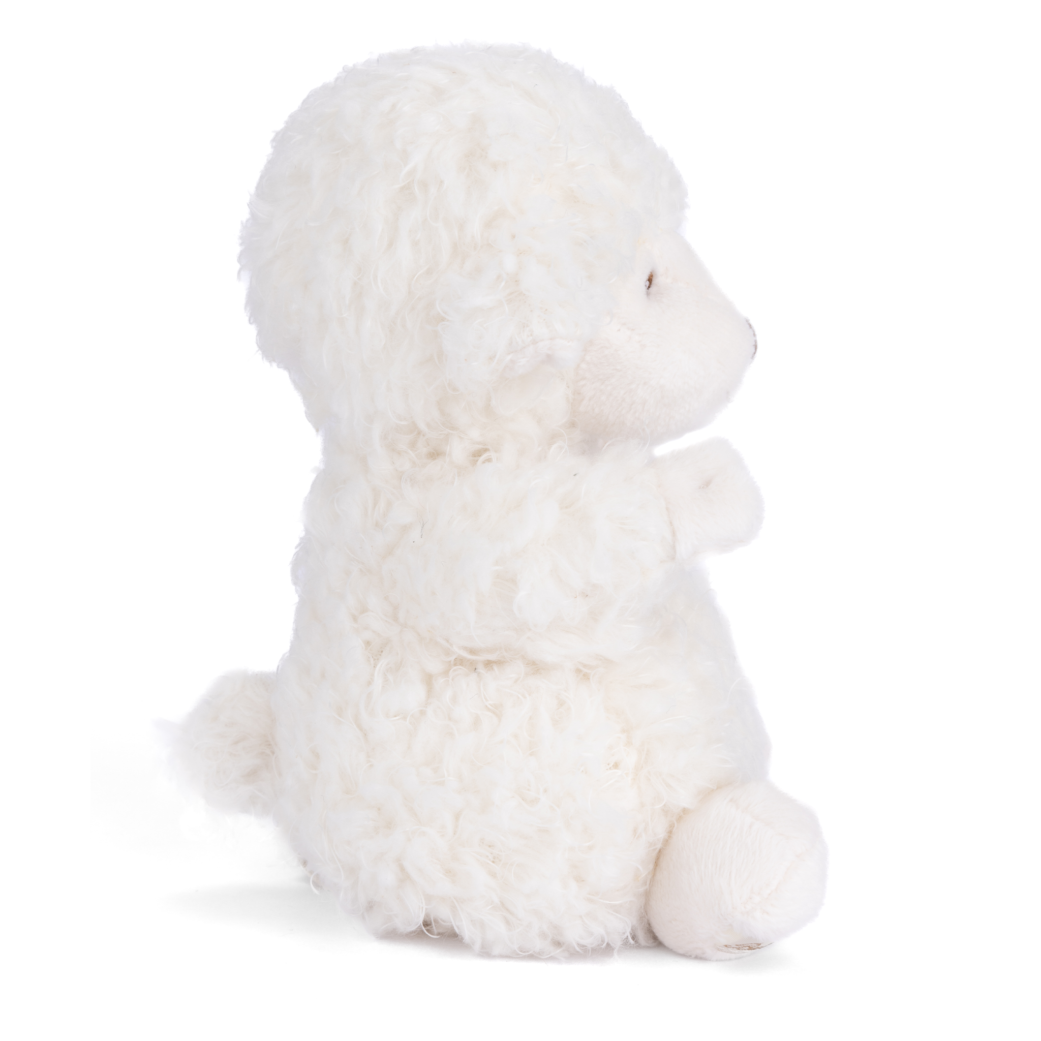https://cdn.shopify.com/s/files/1/0502/2580/7536/files/Layer1.png?v=1728580592