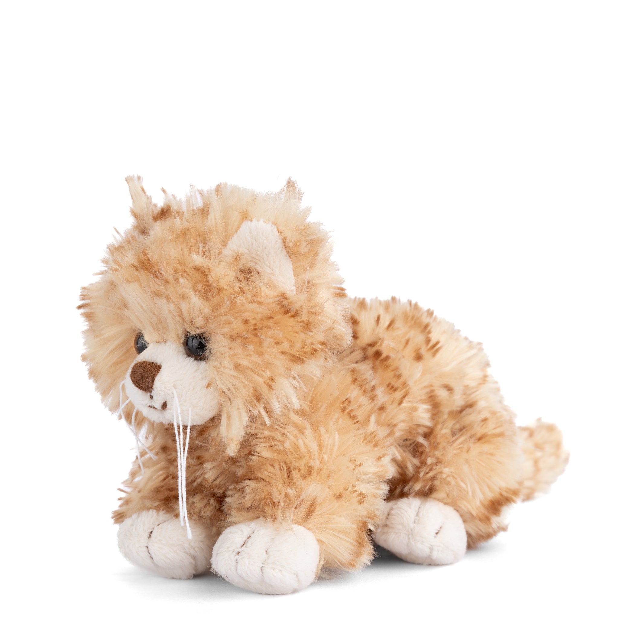https://cdn.shopify.com/s/files/1/0502/2580/7536/files/LittleLoke3_4.jpg?v=1741403109