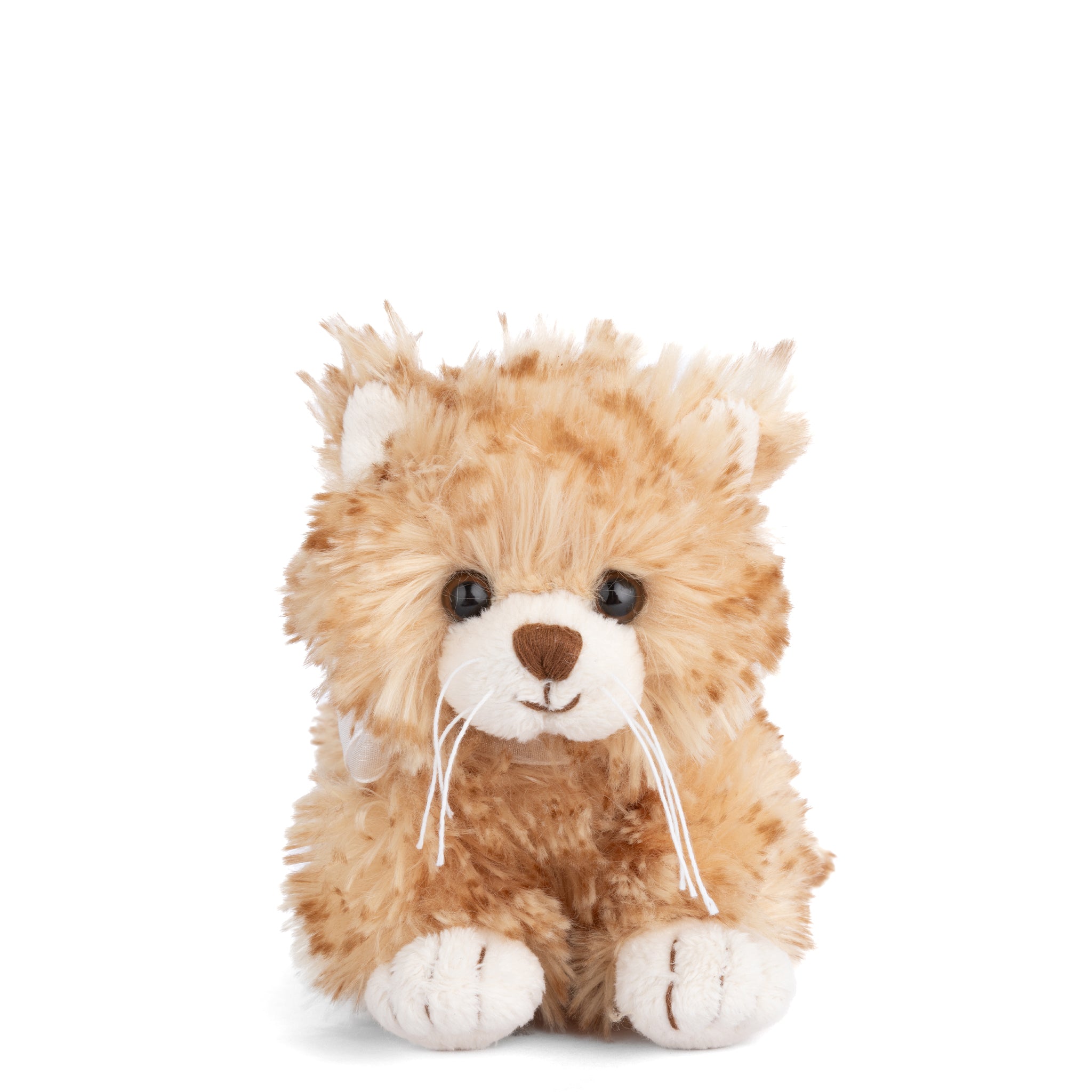 https://cdn.shopify.com/s/files/1/0502/2580/7536/files/LittleLoke.jpg?v=1762457330
