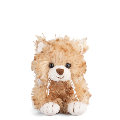 https://cdn.shopify.com/s/files/1/0502/2580/7536/files/LittleLoke.jpg?v=1762457330