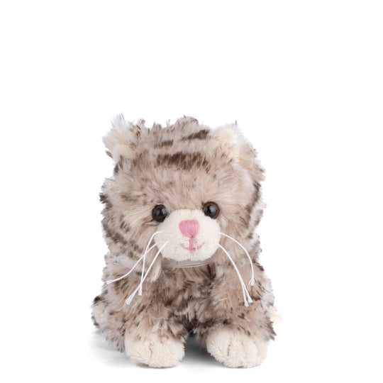 https://cdn.shopify.com/s/files/1/0502/2580/7536/files/LittleMaciek.jpg?v=1762459842