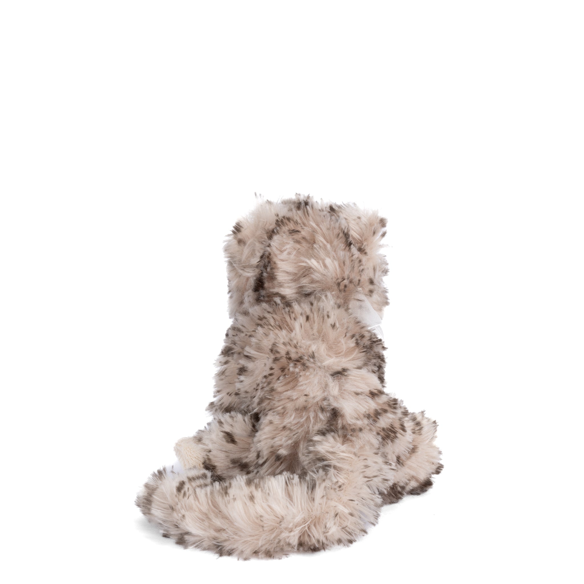 https://cdn.shopify.com/s/files/1/0502/2580/7536/files/LittleMaciekback.jpg?v=1741403142
