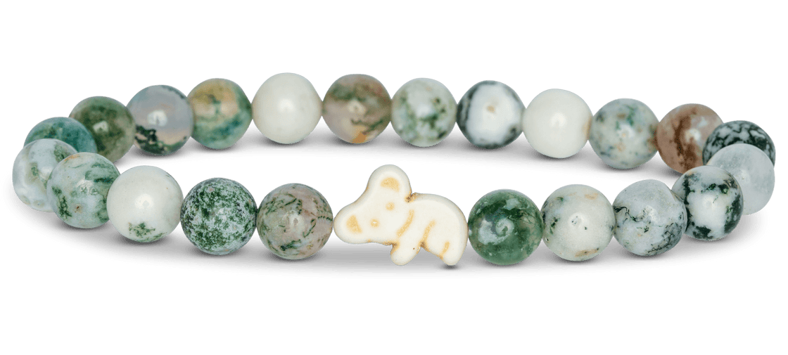 Koala Eucalyptus Green Bracelet