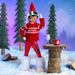The Elf on the Shelf MagiFreez ElfieGram Ski Set