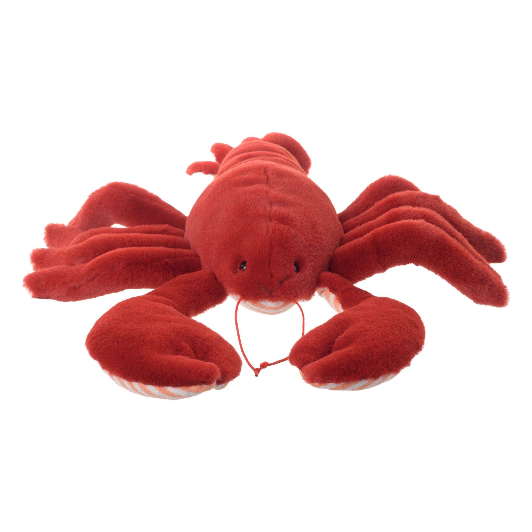 https://cdn.shopify.com/s/files/1/0502/2580/7536/files/Mr.Lobster_f836764d-69c0-4da4-86d7-a24023d79ceb.jpg?v=1762460141
