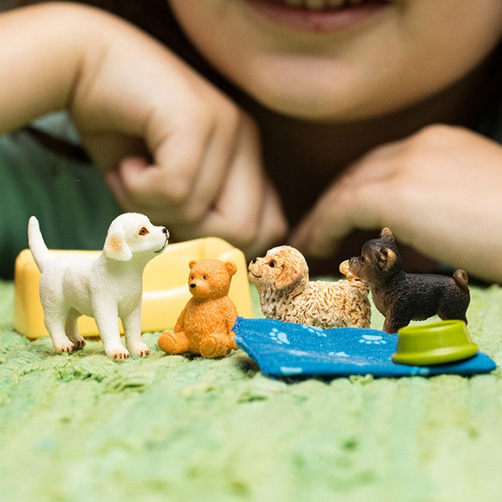 Schleich Puppy Playtime Playset