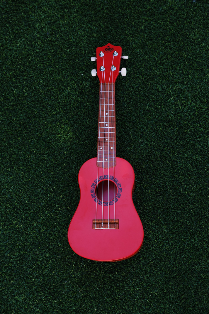 KAKO'O UKULELE (Assorted Styles)