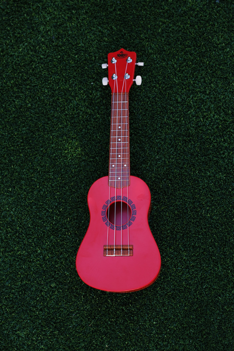 KAKO'O UKULELE (Assorted Styles)