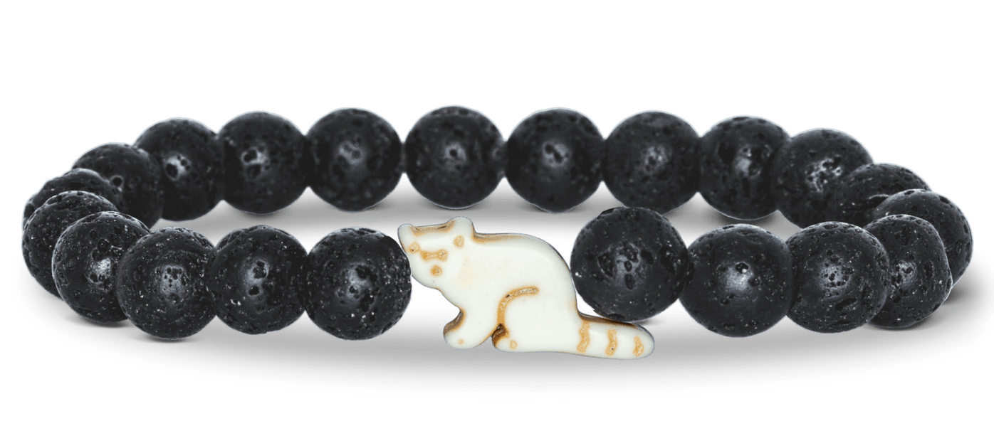 Red Panda Tracking Bracelet | Track a Real Animal with Fahlo — Learning ...