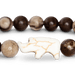 https://cdn.shopify.com/s/files/1/0023/6158/9871/files/Rhino_Acacia_57324489-e771-48b4-a2c2-d2d774223598.png?v=1768855295