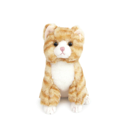https://cdn.shopify.com/s/files/1/0333/8754/4707/files/ST1346.jpg?v=1753767821